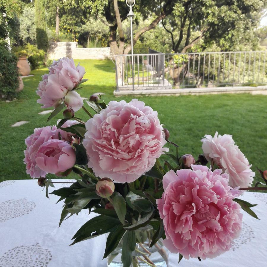 Provence Dodo Bed & Breakfast Villeneuve  Bagian luar foto